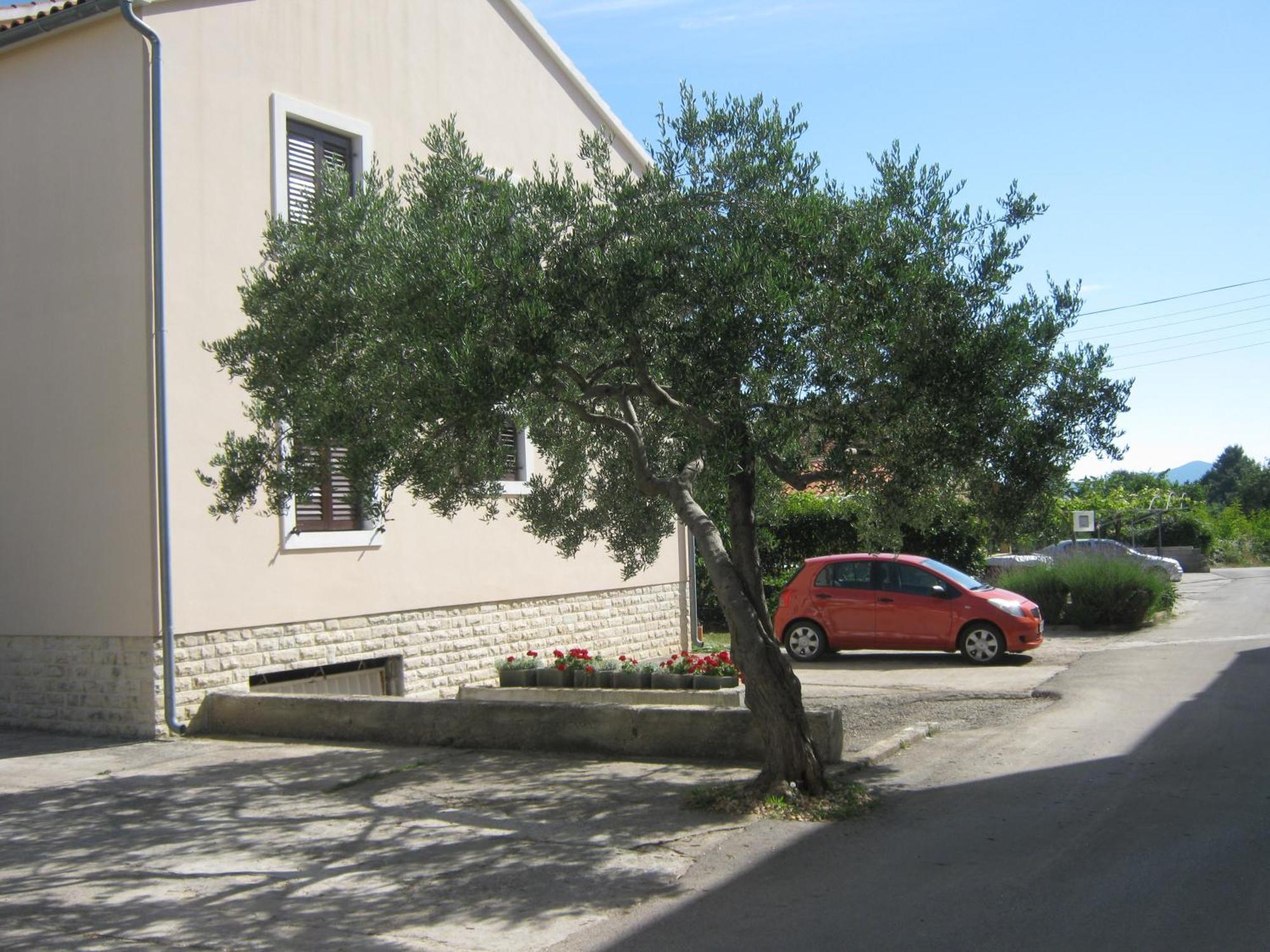 Apartments Blanka Zadar Exterior foto